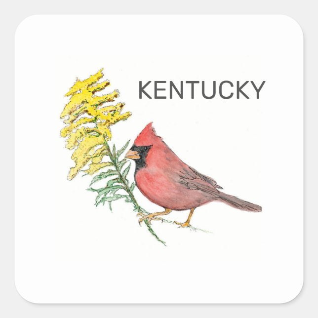 Sticker Carré Oiseau et fleur du Kentucky (Devant)