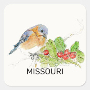 Sticker Carré Oiseau et fleur du Missouri