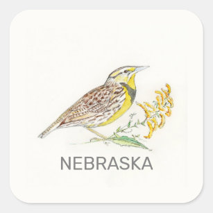 Sticker Carré Oiseau et fleur du Nebraska
