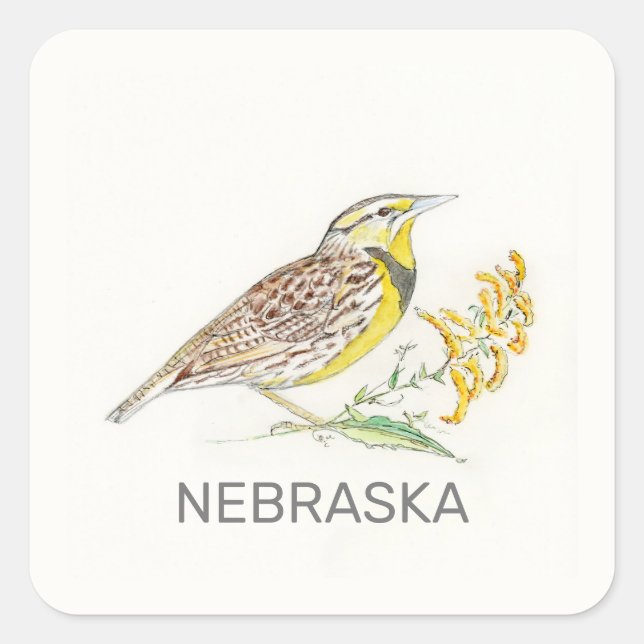 Sticker Carré Oiseau et fleur du Nebraska (Devant)