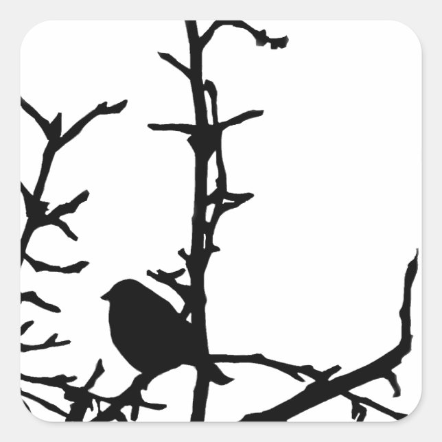 Sticker Carré Oiseau sur une branche (Devant)