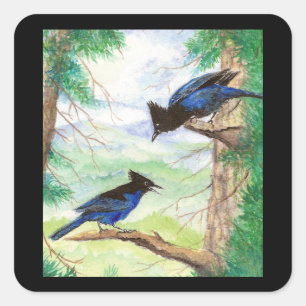 Sticker Carré Oiseaux Geai Stellaire à l'aquarelle Arbres Forest