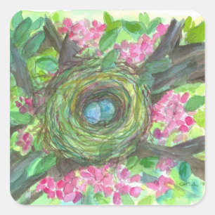 Sticker Carré Oiseaux Nid Robins OEufs Aquarelle Fleurs
