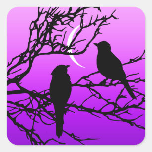 Sticker Carré Oiseaux sur une branche, Noir contre le crépuscule