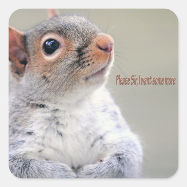 Sticker Carré Oliver Twist Squirrel (Devant)