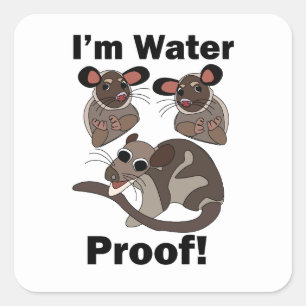 Sticker Carré Opossum d'eau Je suis étanche drôle 