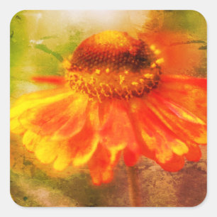 Sticker Carré Orange Jaune Zinnia