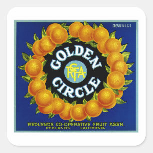 Sticker Carré Oranges d'or de cercle