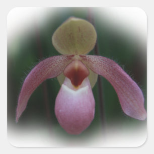 Sticker Carré Orchidée à glisse de la dame