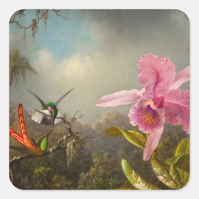 Sticker Carré Orchidée avec deux colibris Heade (Devant)