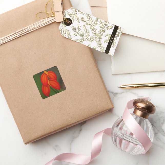 Sticker Carré Orchidée d'ignea de Masdevallia (Cadeaux)