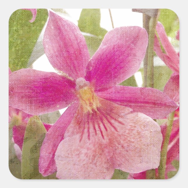 Sticker Carré Orchidée rose (Devant)