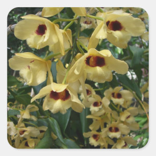 Sticker Carré Orchidées jaunes et marron Elegant Floral