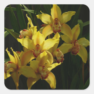 Sticker Carré Orchidées Jaunes Sunlit Floral