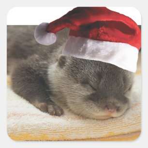 Sticker Carré Otter endormi de Noël