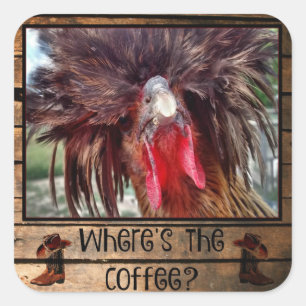 Sticker Carré Où est le café au poulet polonais