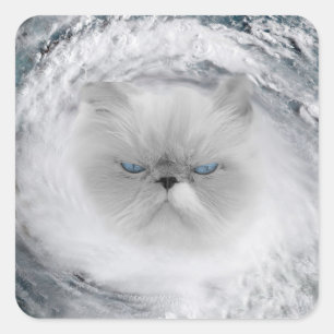 Sticker Carré Ouragan Cat 5