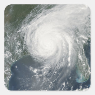 Sticker Carré Ouragan Katrina