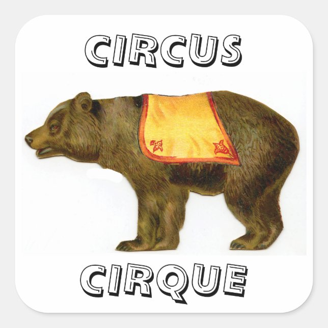 Sticker Carré Ours de cirque vintage (Devant)
