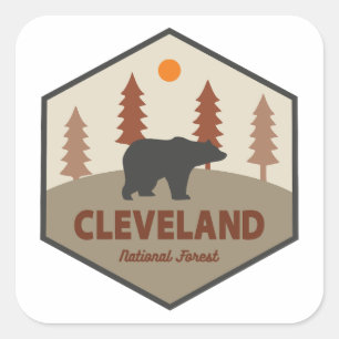 Sticker Carré Ours de la forêt nationale de Cleveland
