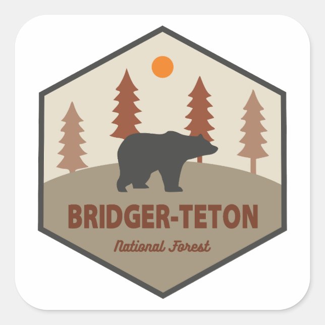 Sticker Carré Ours forestier national de Bridger-Teton (Devant)