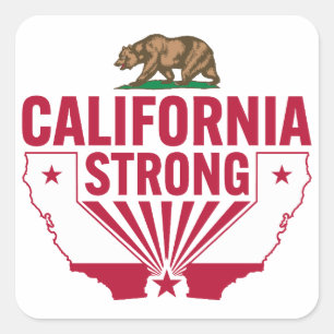 Sticker Carré Ours grizzli robuste en Californie