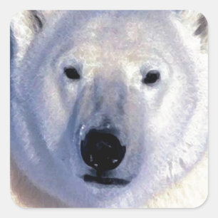 Sticker Carré Ours polaire