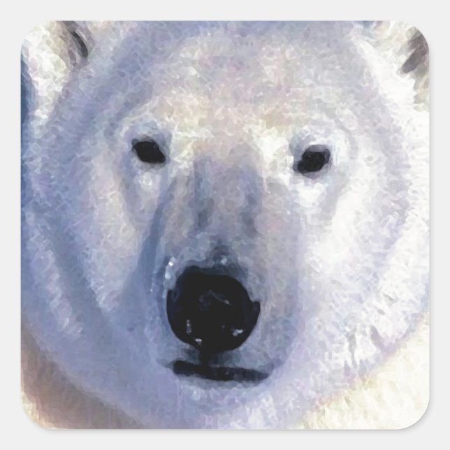 Sticker Carré Ours polaire (Devant)