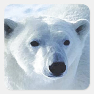 Sticker Carré Ours polaire