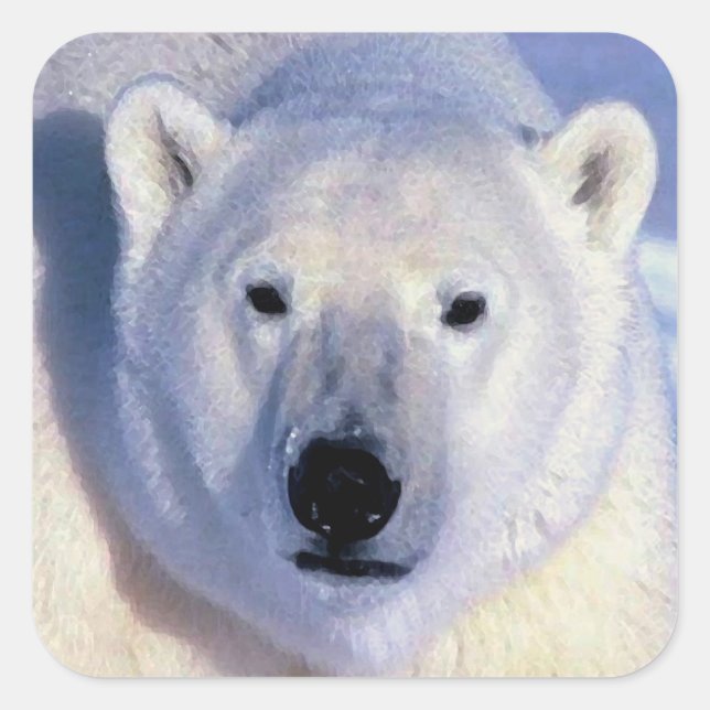 Sticker Carré Ours Polaire (Devant)