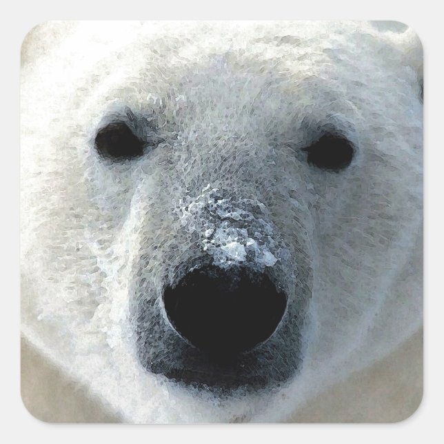 Sticker Carré Ours polaire (Devant)