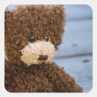 Sticker Carré Ours Teddy Brown