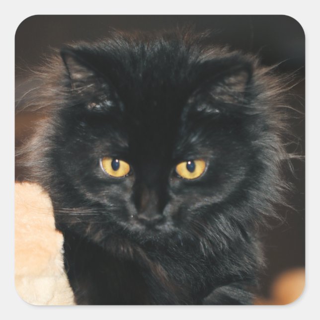 Sticker Carré Owlette (Devant)