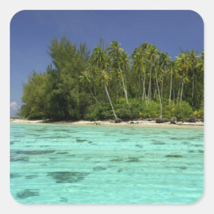Sticker Carré Pacifique Sud, Polynésie française, Moorea 2