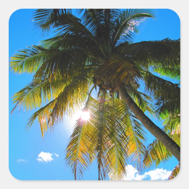 Sticker Carré Palm Paradise Ciel Bleu Soleil (Devant)
