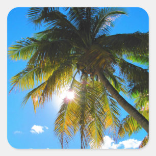 Sticker Carré Palm Paradise Ciel Bleu Soleil