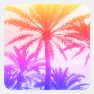 Sticker Carré palmier tropical dans l'ambiance estivale rétro né