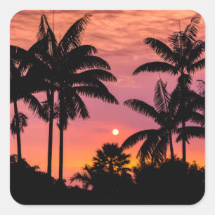 Sticker Carré Palmiers en silhouette, Hawaii