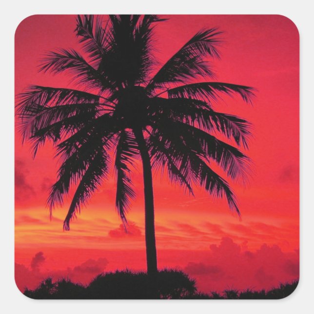 Sticker Carré Palmiers exotiques du coucher de soleil de l'Hawaï (Devant)