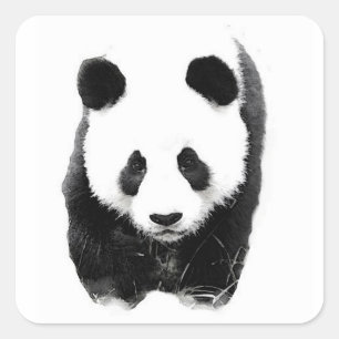 Sticker Carré Panda
