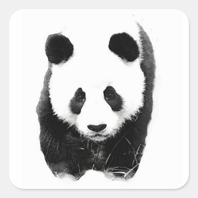 Sticker Carré Panda (Devant)