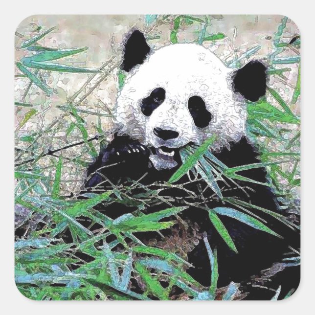 Sticker Carré Panda (Devant)