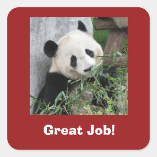 Sticker Carré Panda Géant, Professeur, Bon Travail !