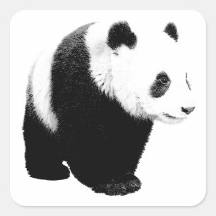 Sticker Carré Panda noir et blanc