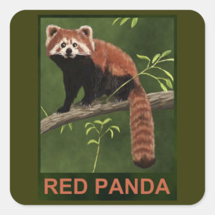 Sticker Carré Panda rouge