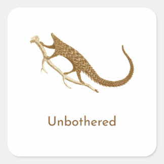 Sticker Carré Pangolin imperturbable