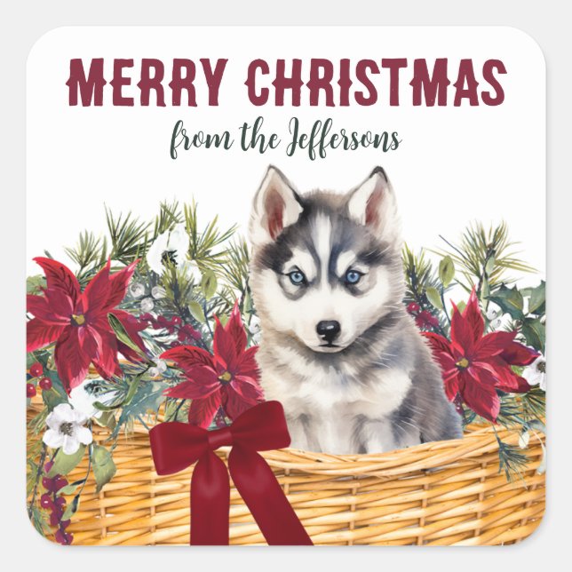 Sticker Carré Panier de Noël Poinsettia Siberian Husky (Devant)