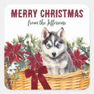 Sticker Carré Panier de Noël Poinsettia Siberian Husky