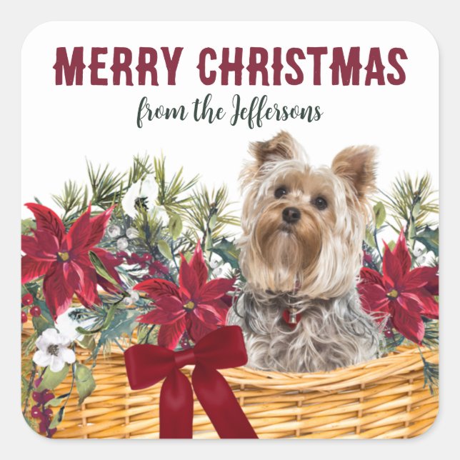 Sticker Carré Panier de Noël Poinsettia Yorkshire Terrier (Devant)