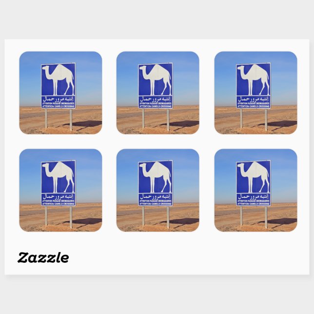 Sticker Carré Panneau de chameaux, Tunisie (Feuille)